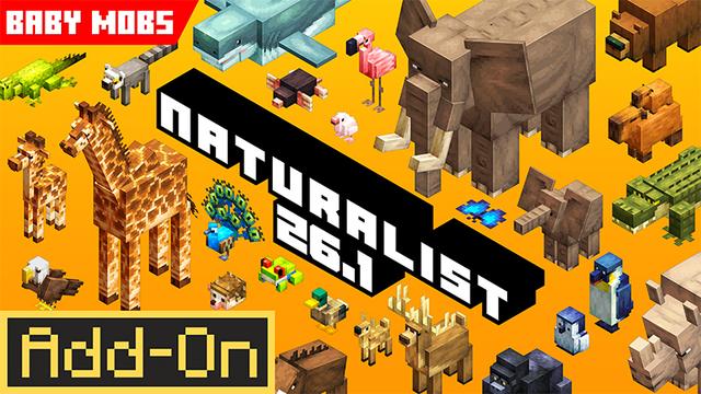 Jimothy, wirusowy szop z Seattle, trafił do Minecrafta