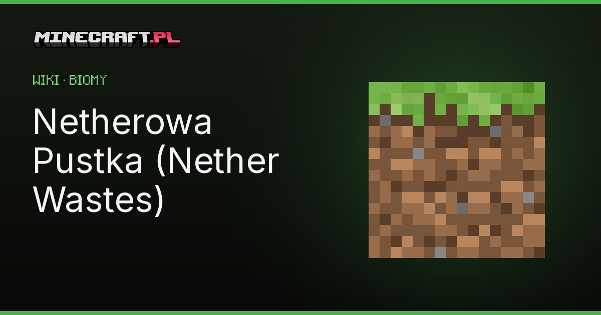 Netherowa Pustka (Nether Wastes) - biom Minecraft