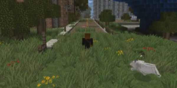 I am legit Minecraft